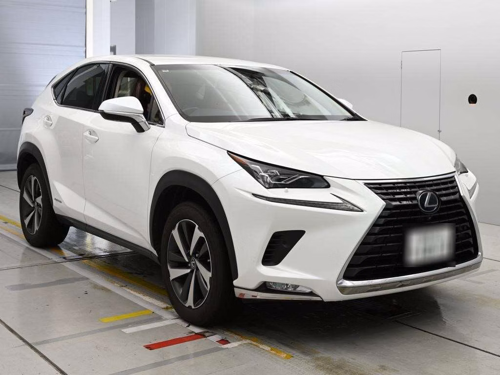 LEXUS NX300H