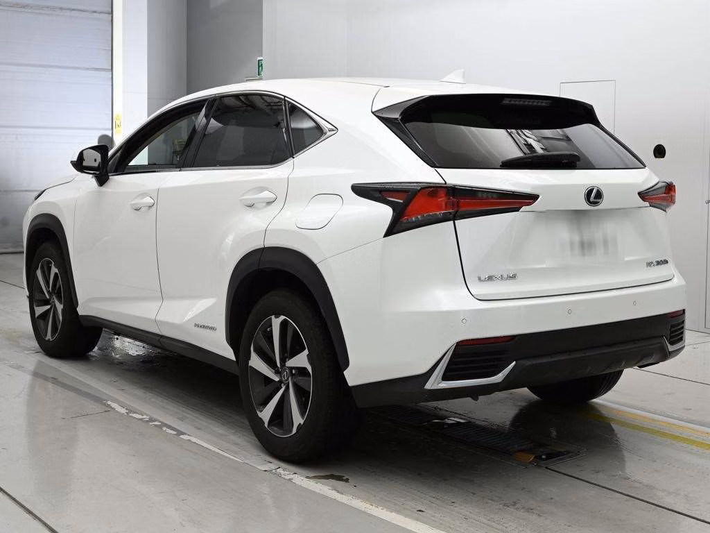 LEXUS NX300H