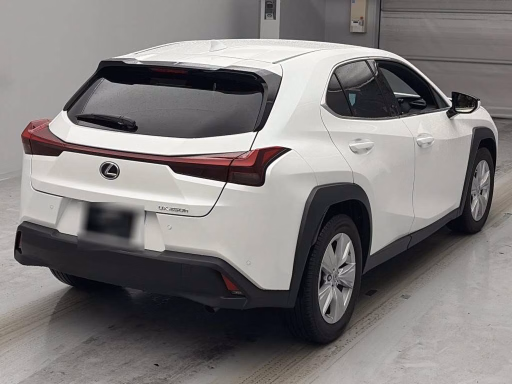 LEXUS UX250H