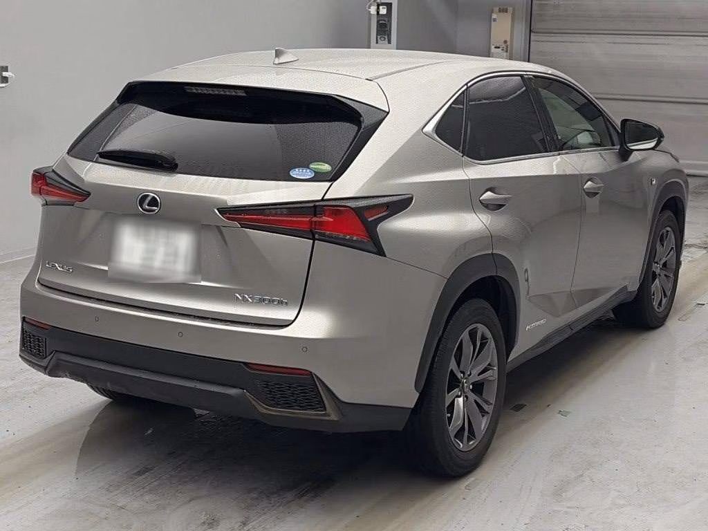 LEXUS NX300