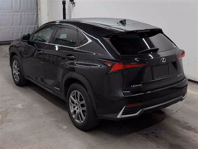 LEXUS NX300