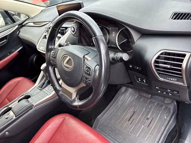 LEXUS NX300