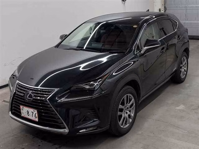 LEXUS NX300