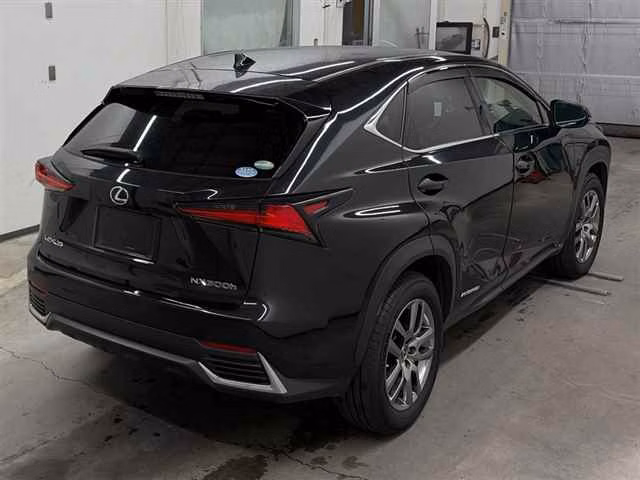 LEXUS NX300