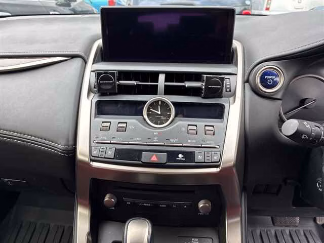 LEXUS NX300