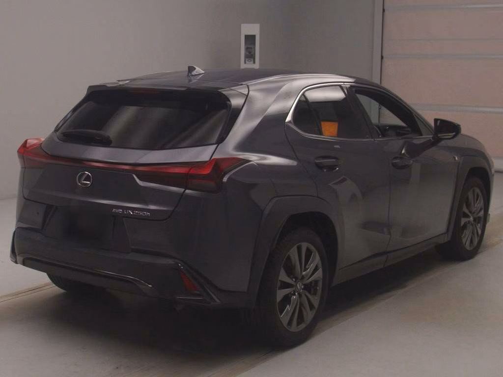 LEXUS UX250H