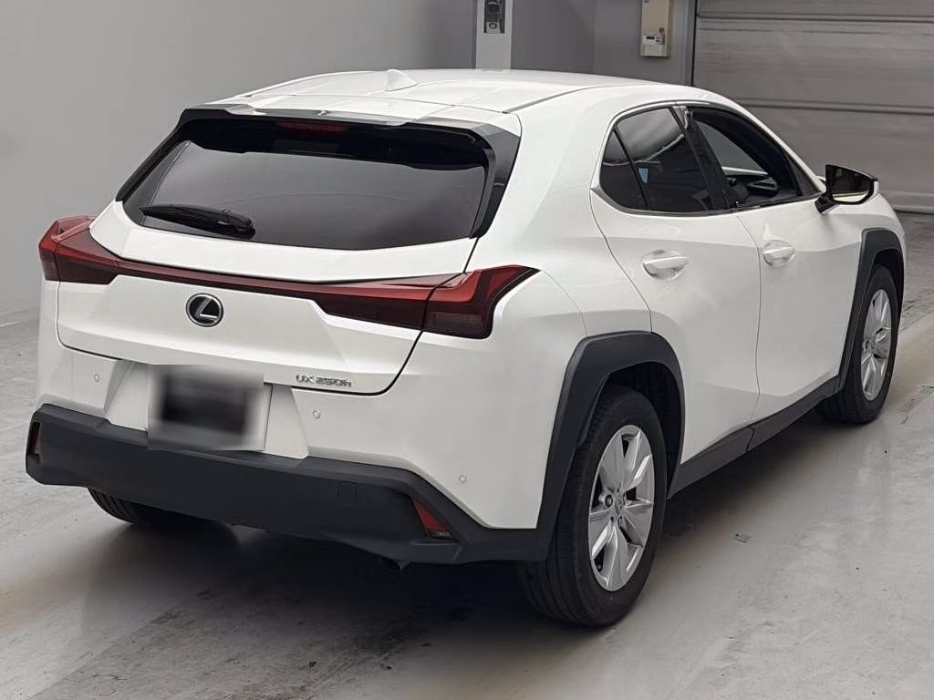 LEXUS UX250H