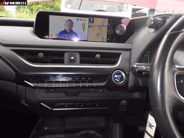 LEXUS UX250H