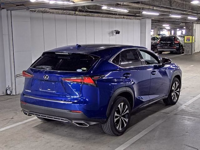 LEXUS NX300