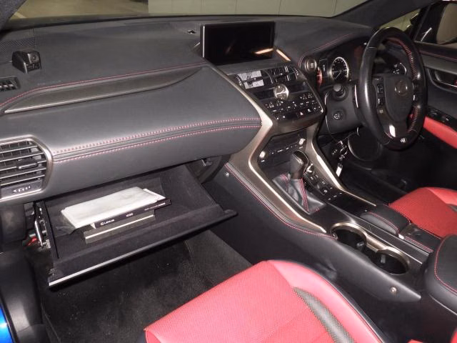 LEXUS NX300