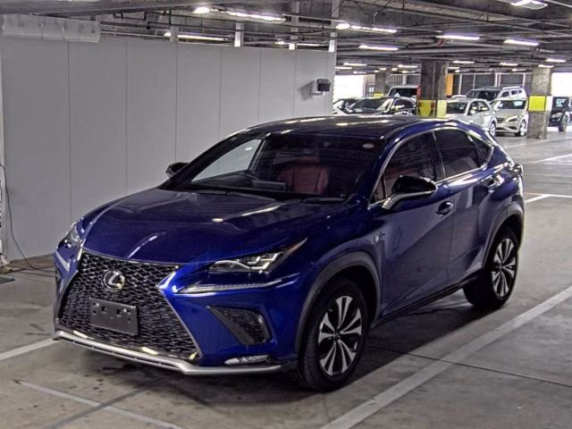 LEXUS NX300