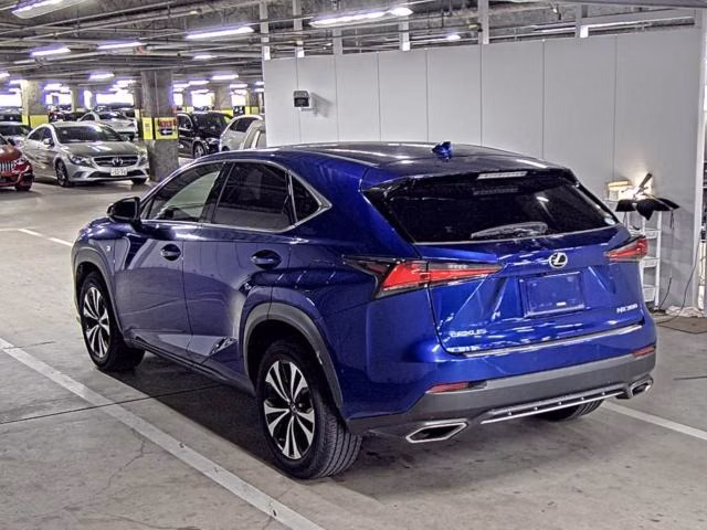 LEXUS NX300
