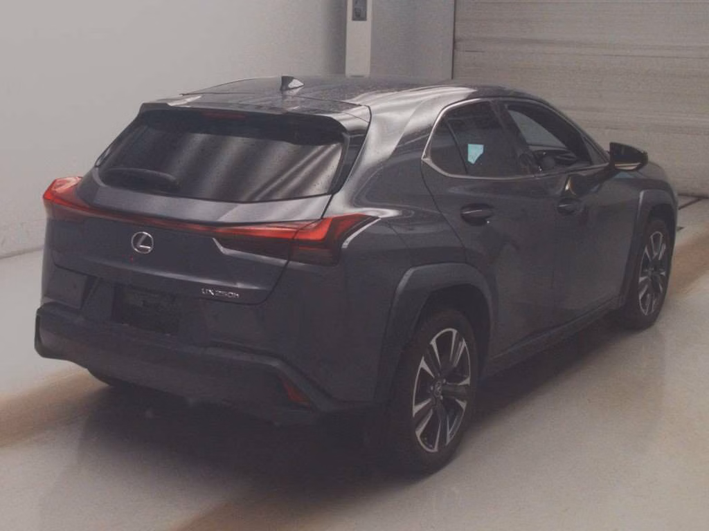 LEXUS UX250H