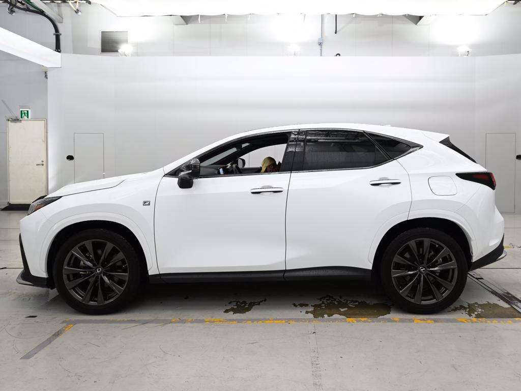 LEXUS NX450H+