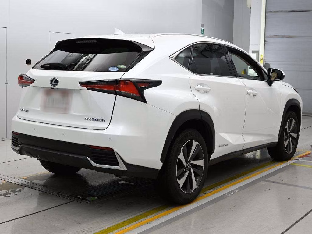 LEXUS NX300H