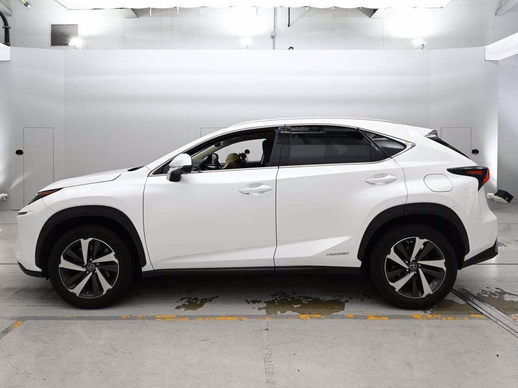 LEXUS NX300H