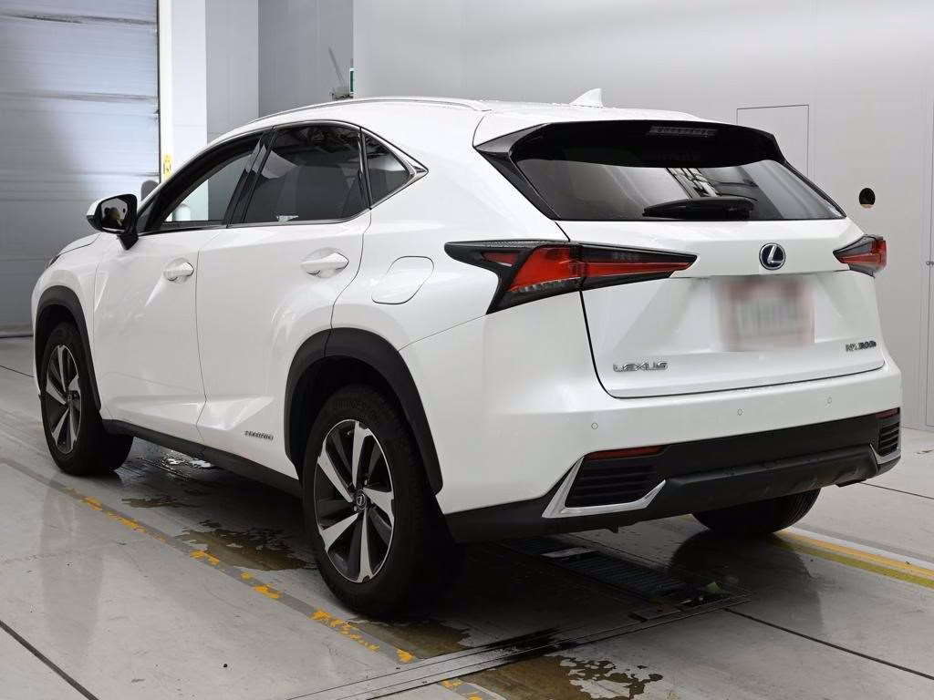LEXUS NX300H