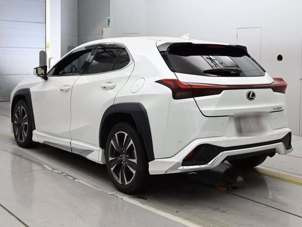 LEXUS UX250H