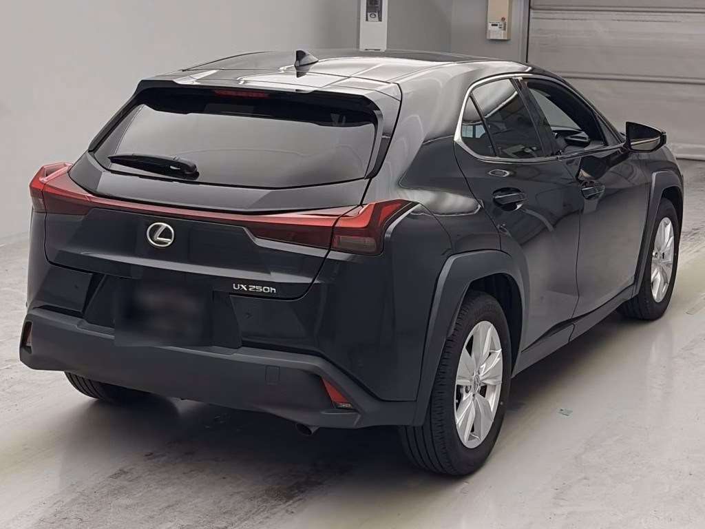 LEXUS UX250H