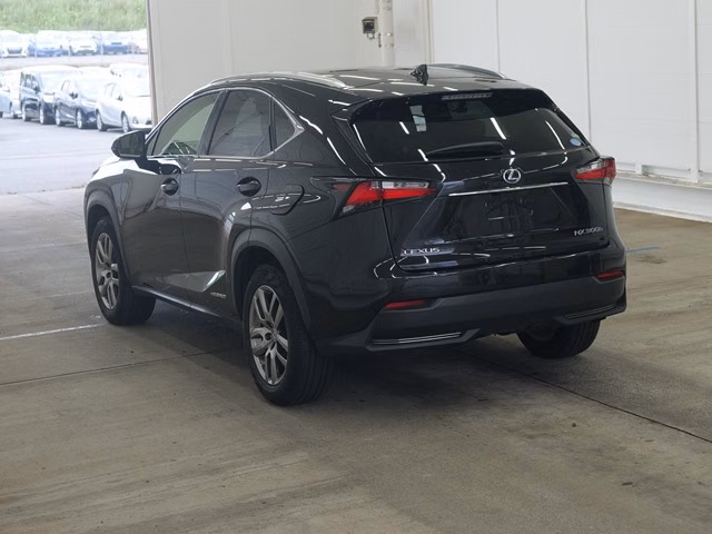 LEXUS NX300
