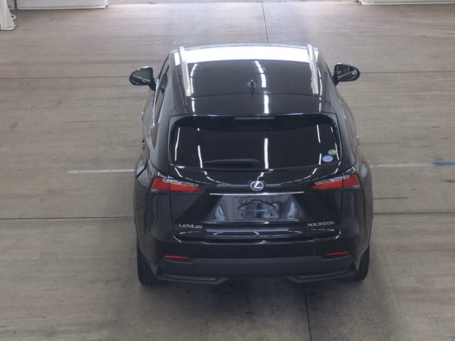 LEXUS NX300