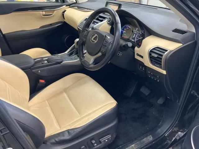 LEXUS NX300