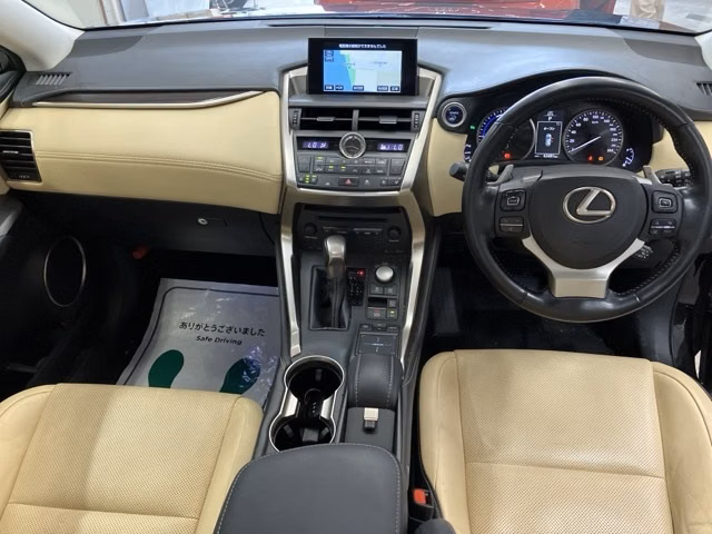 LEXUS NX300