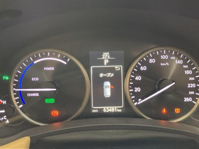 LEXUS NX300
