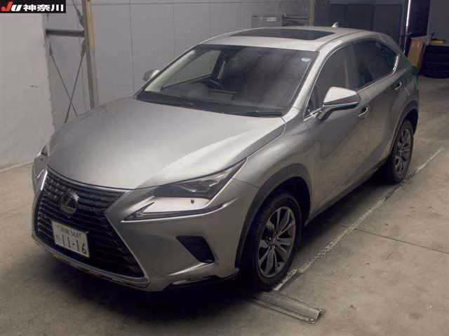 LEXUS NX300