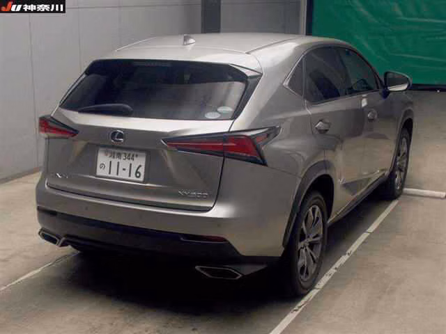 LEXUS NX300