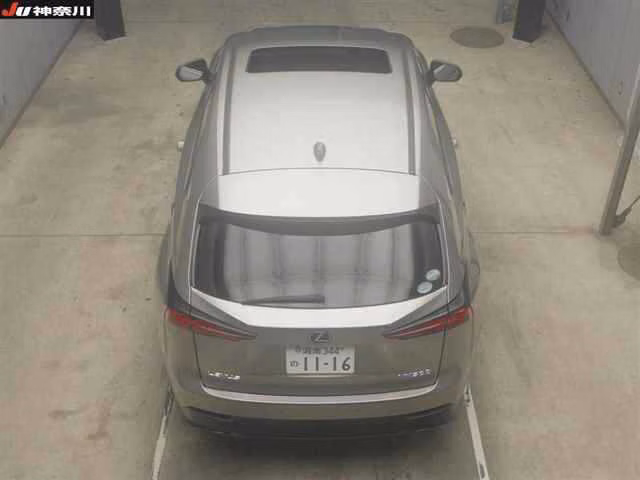 LEXUS NX300
