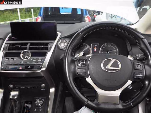 LEXUS NX300
