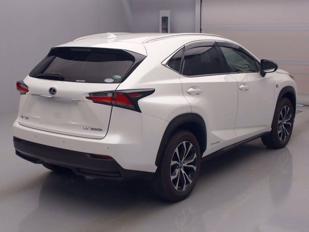 LEXUS NX300