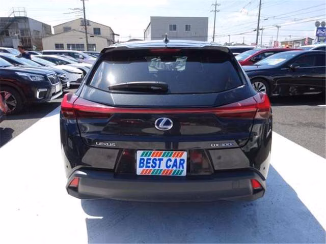 LEXUS UX300E
