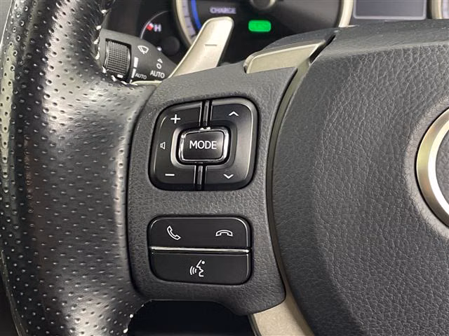 LEXUS NX300H