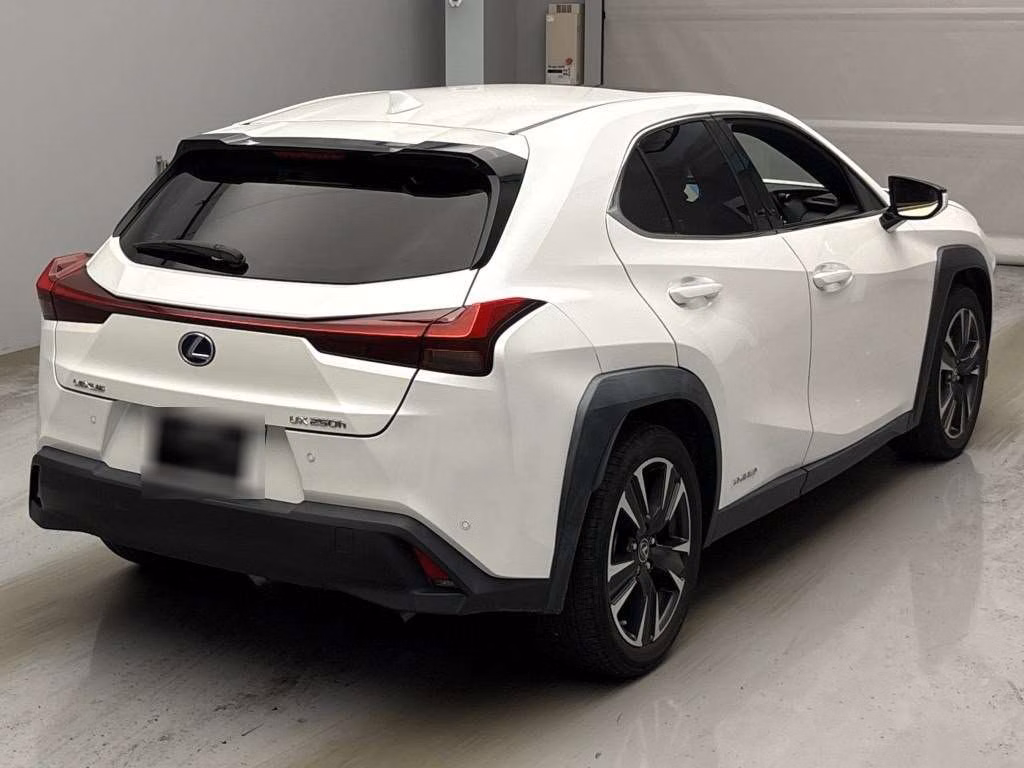LEXUS UX250H