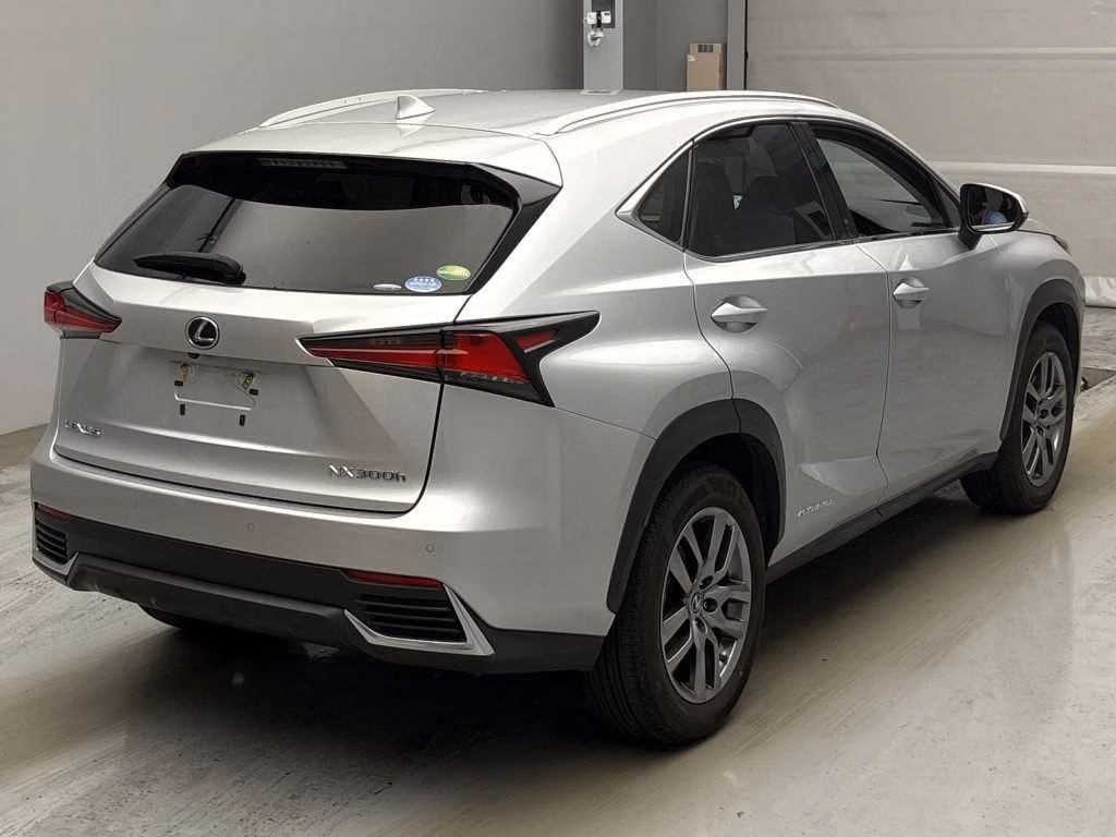 LEXUS NX300