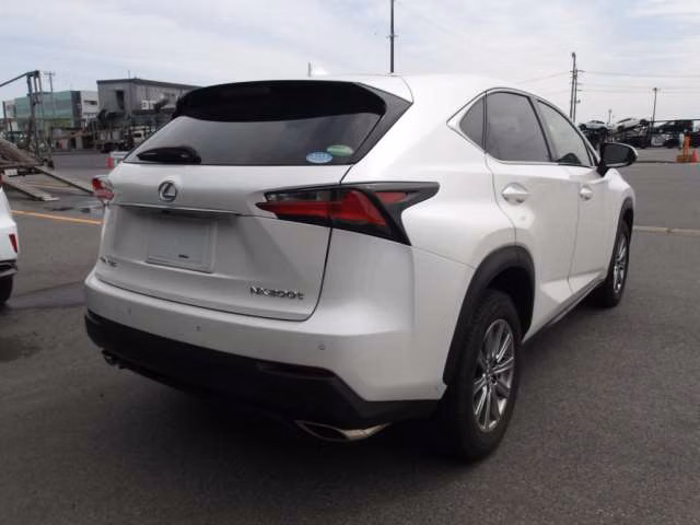 LEXUS NX300