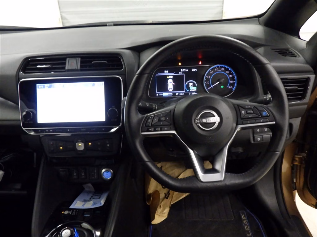 NISSAN LEAF