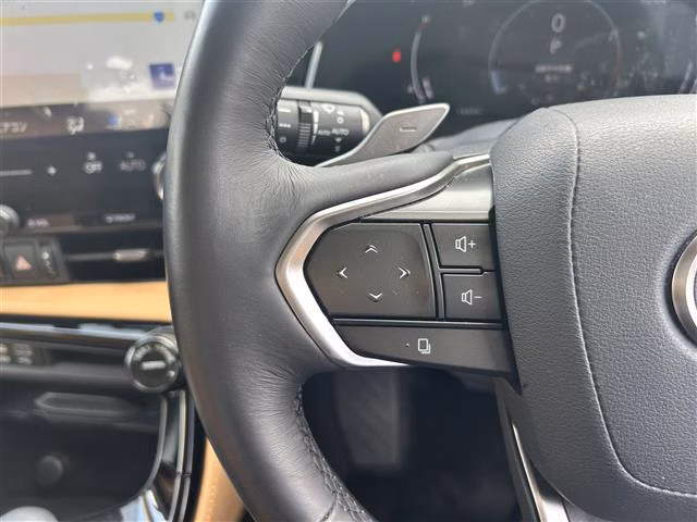 LEXUS NX250