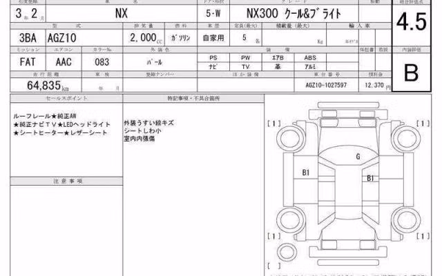 LEXUS NX300