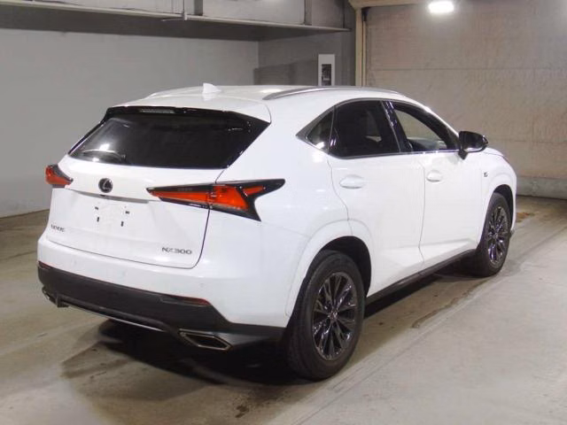 LEXUS NX300