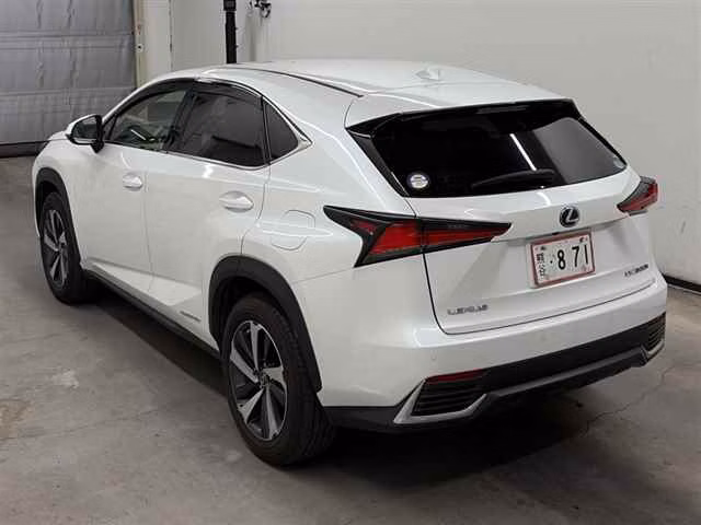 LEXUS NX300