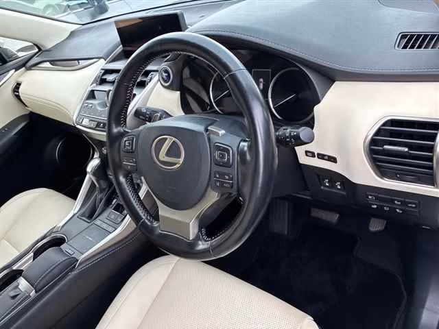 LEXUS NX300