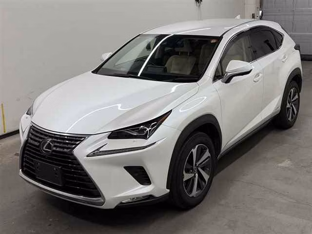 LEXUS NX300
