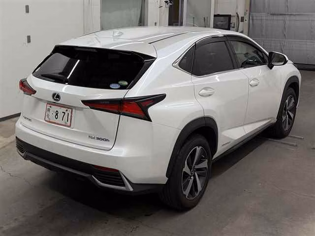 LEXUS NX300