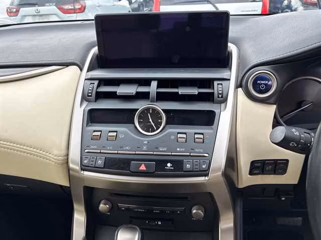 LEXUS NX300