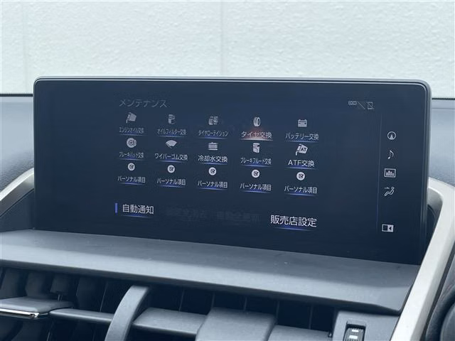 LEXUS NX300