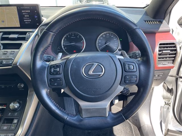 LEXUS NX300