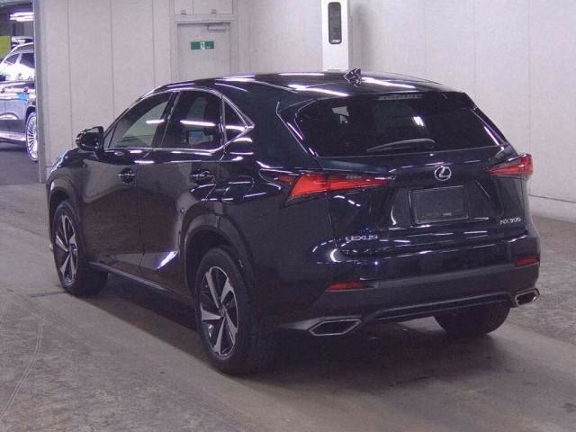 LEXUS NX300